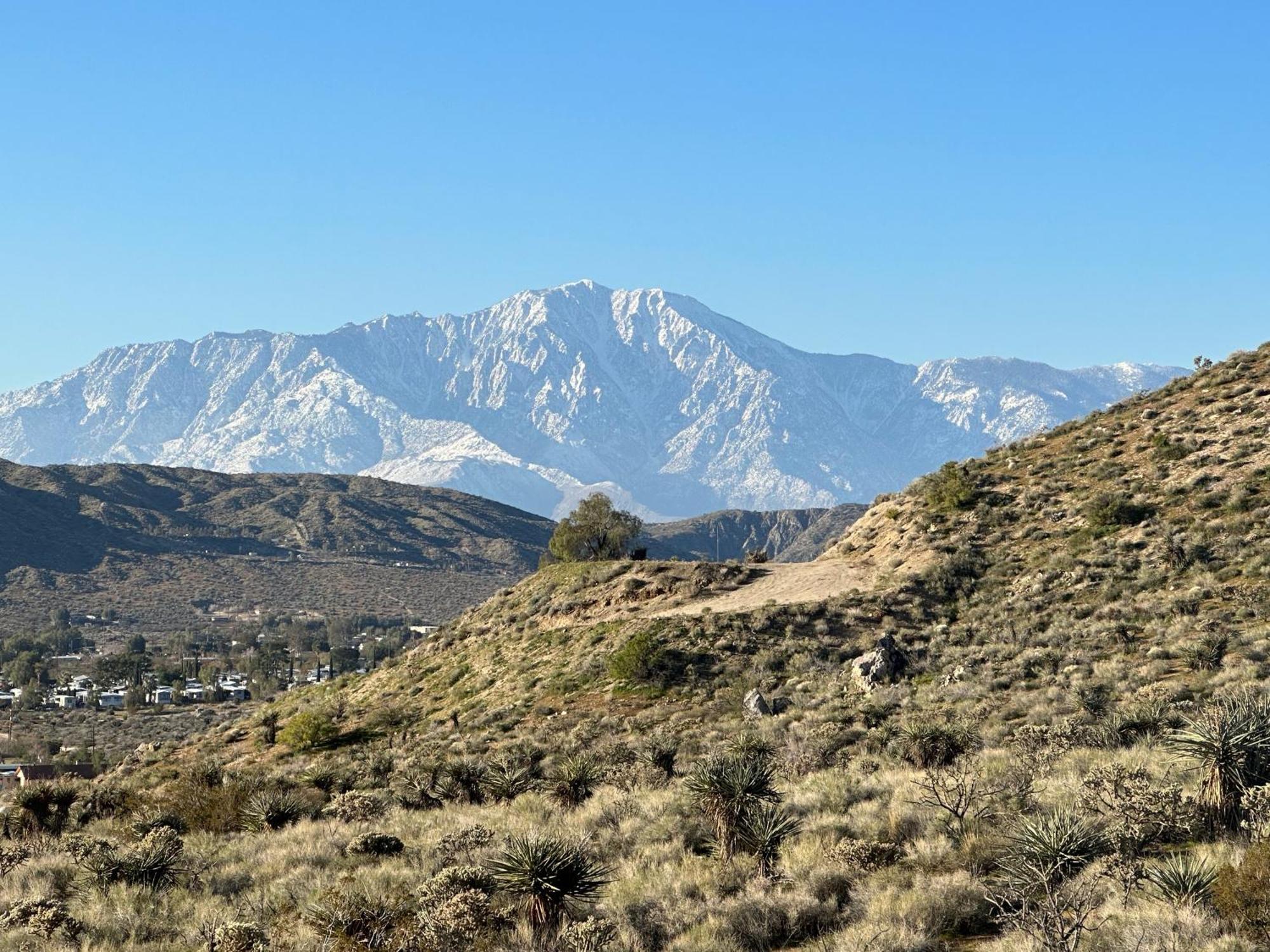 Two Pepper Ranch - A Desert Oasis Morongo Valley Zewnętrze zdjęcie